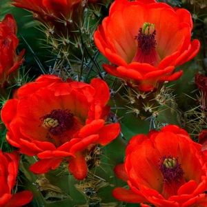 Meet your Posher, Marilyn